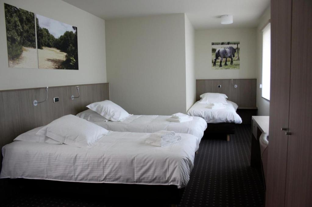 Hotel Otus Wetteren Rom bilde